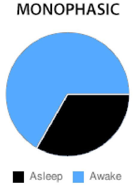 How Much Sleep Do You Need