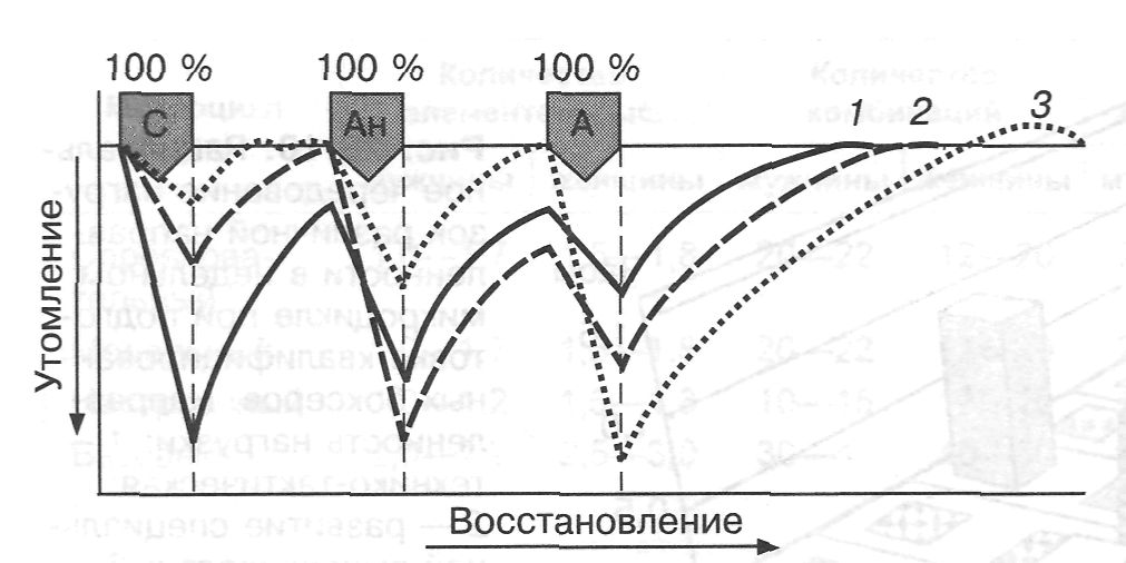 Построение тренировочной программы