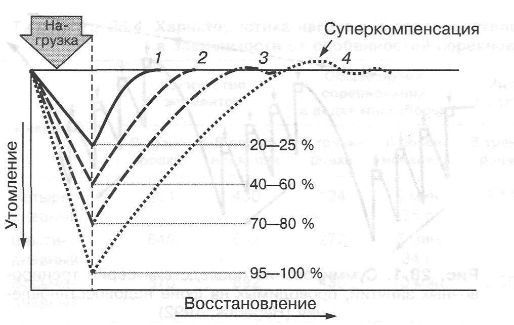 Построение тренировочной программы