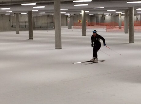 skidome_skejt