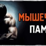 Мышечная память в спорте что это такое