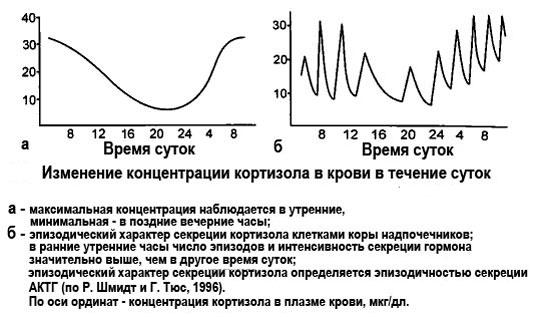 График давления человека в течении суток. Суточный ритм секреции гормона роста. Выработка кортизола график. Суточные колебания кортизола. Суточный график кортизола.