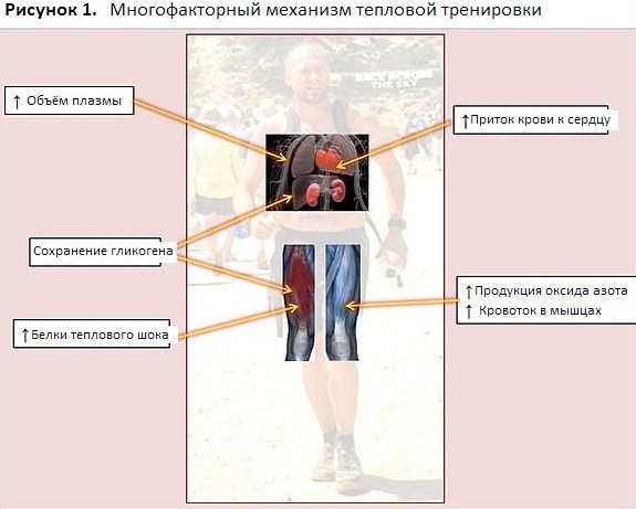 Использование нагревания и охлаждения для повышения эффективности тренировок и восстановления